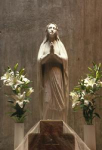 DESPAIR OF MARIA
