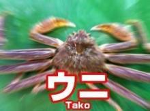 けんちゃん