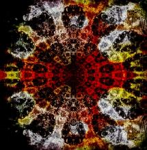 ハリーポタポタ焼き