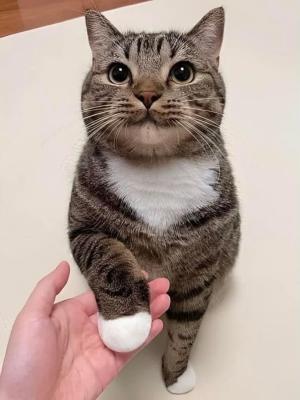 りゅう