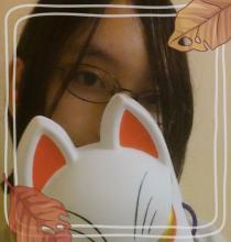 Hachi
