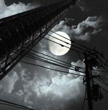 aigrj
