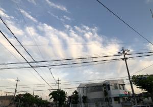 青くま
