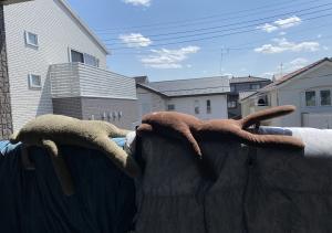ひなたぼっこ