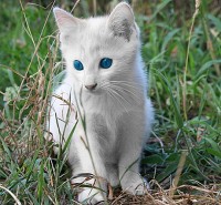 あゆみ