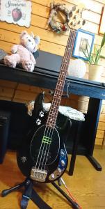 レトリバー軍曹