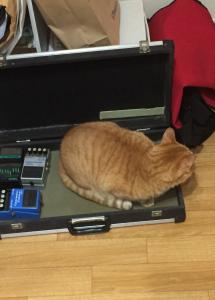 茂くん