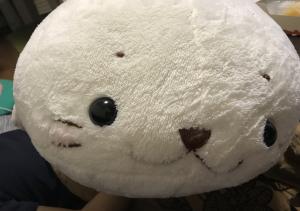 すりりんご