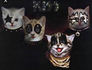 Tama∩(^ΦωΦ^)∩