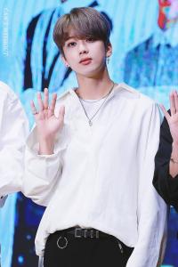 エレキにゃんこ