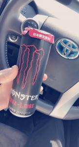 ボーカルやりたいおおかみ