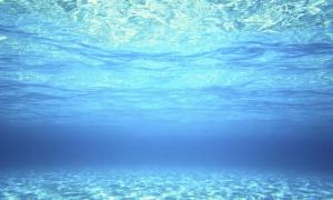 水中夢
