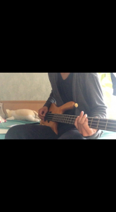 ぴー助。