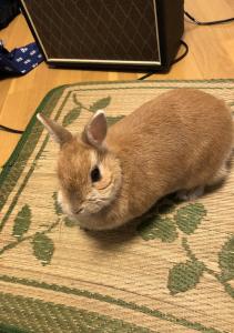 あいちゃんマン