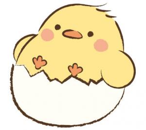 ピヨ丸