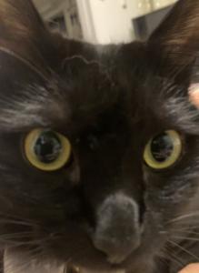 mar88 今は募集してません