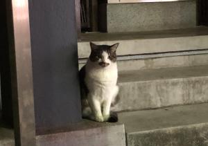 草尾 純