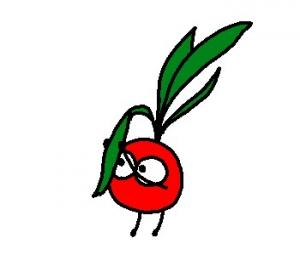 ラディッシュ（募集活動停止中）