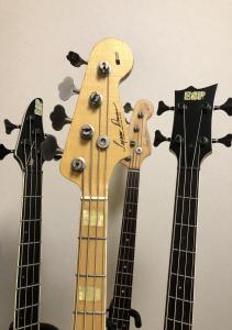 TM evolution