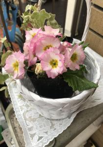 rika 募集停止中