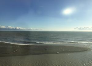 静岡市ベーシスト