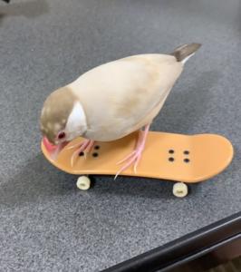 麦茶ん