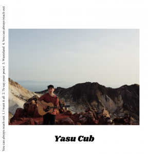 Yasu Cub