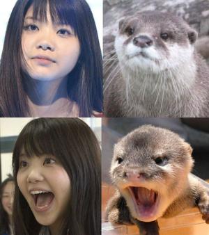 ミーのすべるバー