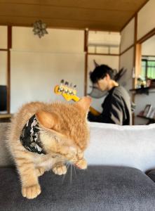ひーで