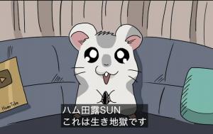 わんこさん