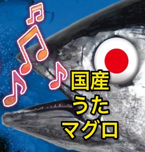国産うたマグロ