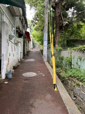 ｼｭﾝｽｹ