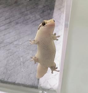 名無し01