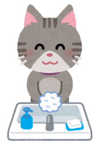 カイちむさんチーム