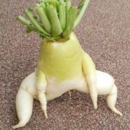 なっつやん
