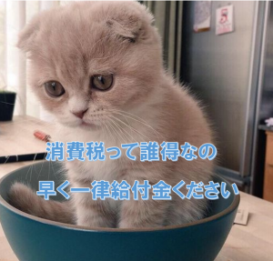 カルト政権キラーα