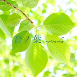 リスベット