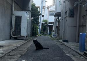 魚の目をしている