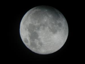 naozo