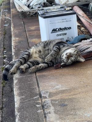 ベースをやらされてるギタリスト