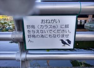 アメトムチ