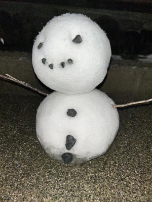 わっこー