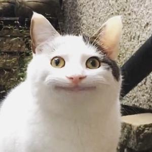 サクライロハペン