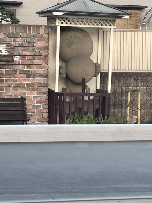 ミナミ