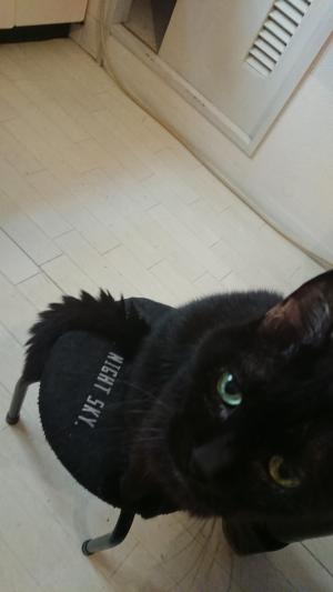 RyuT