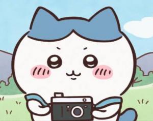 ぴっぴぴ