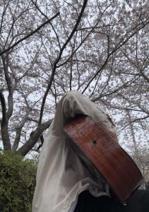 たまゆorアスファルト