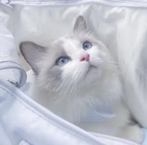 ゆん、