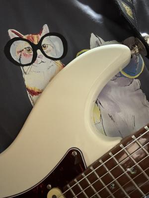 ねこฅ( ˙꒳​˙ ฅ)
