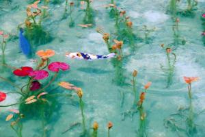 タオルケットは穏やかな